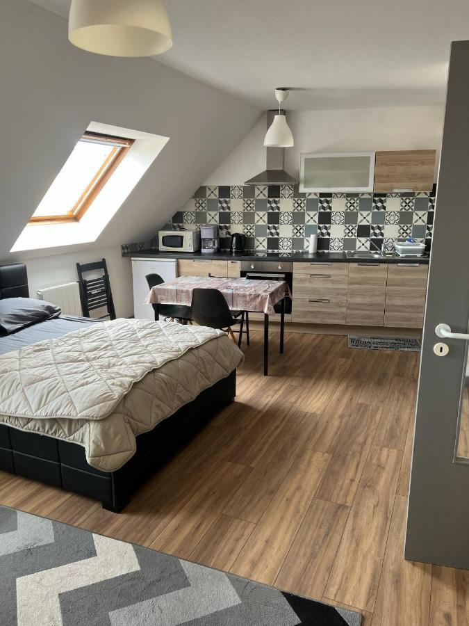 Super Appartement Colmar Centre Zewnętrze zdjęcie